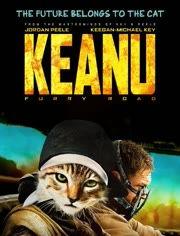 基努猫在线观看,萌宠奇遇记，在线观看带你笑翻天