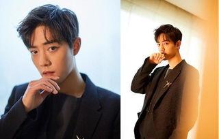 圈内爆料杨紫肖战最新,神秘新剧引期待